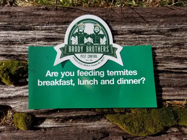 Brody Brothers Pest Control in Owings Mills — photo from the business 11