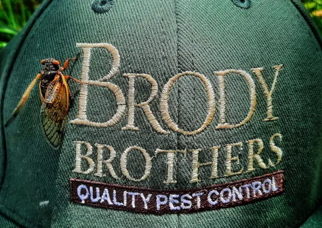 Brody Brothers Pest Control in Owings Mills — photo from the business 3