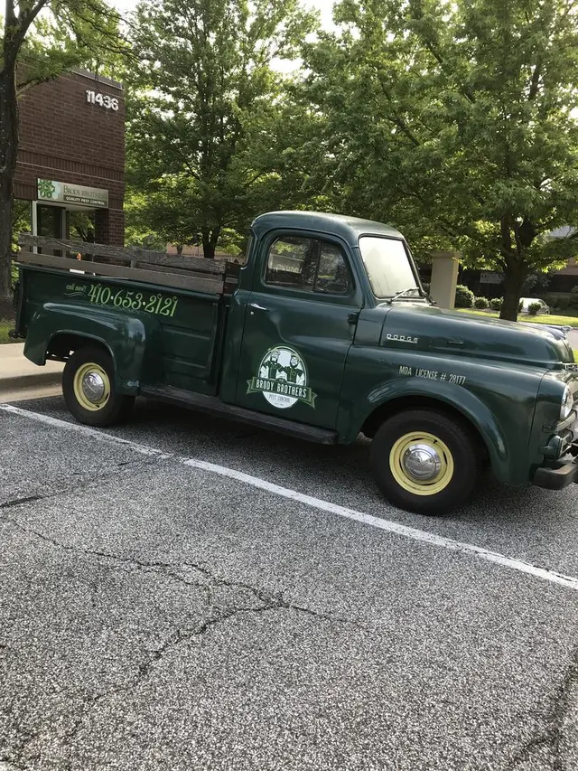 Brody Brothers Pest Control in Owings Mills — photo from the business 6