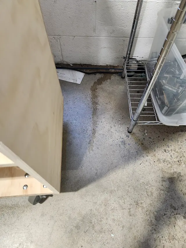 MD Pest Patrol — customer photo 6