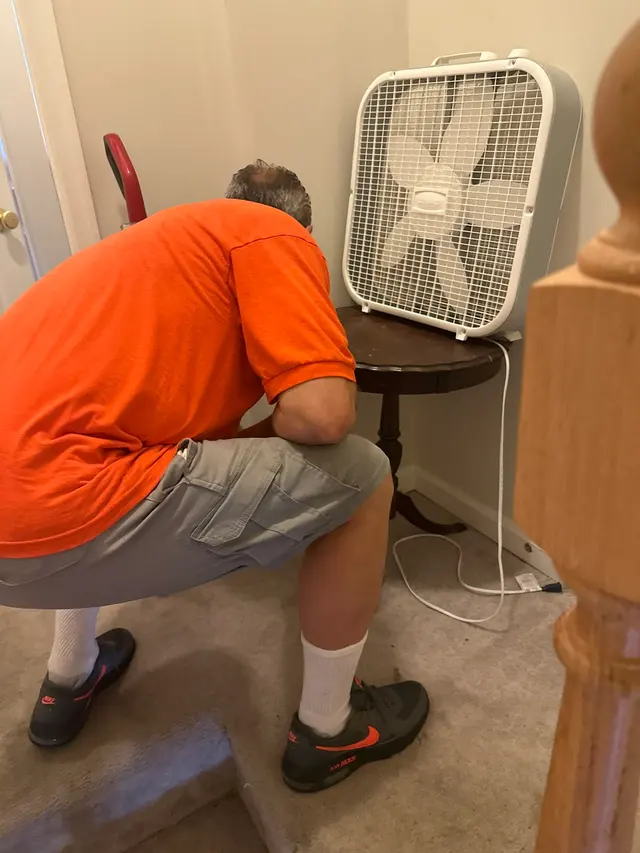 MD Pest Patrol — customer photo 11