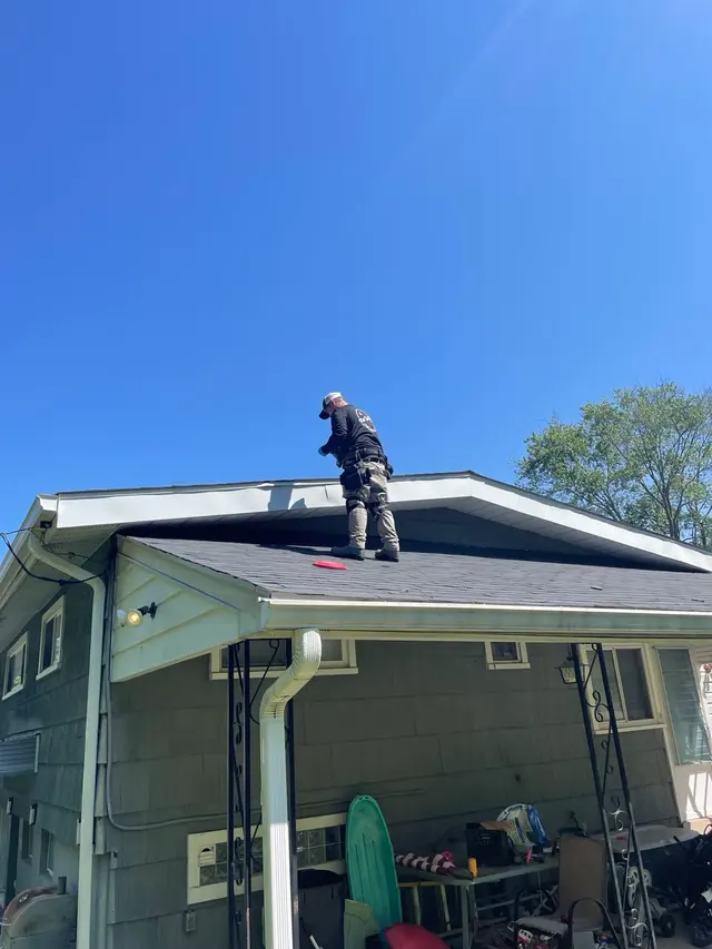 On The Fly Pest Solutions — photo from the business 3