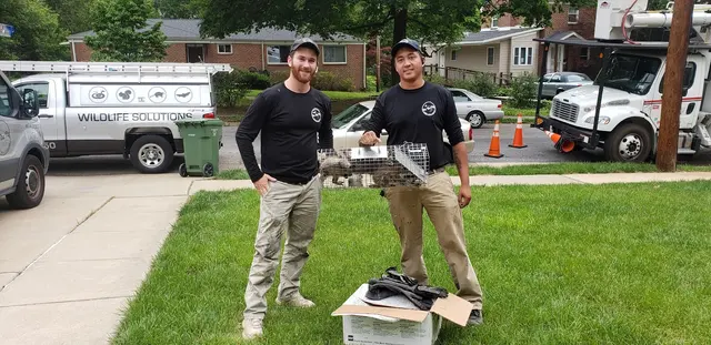 On The Fly Pest Solutions — photo from the business 10