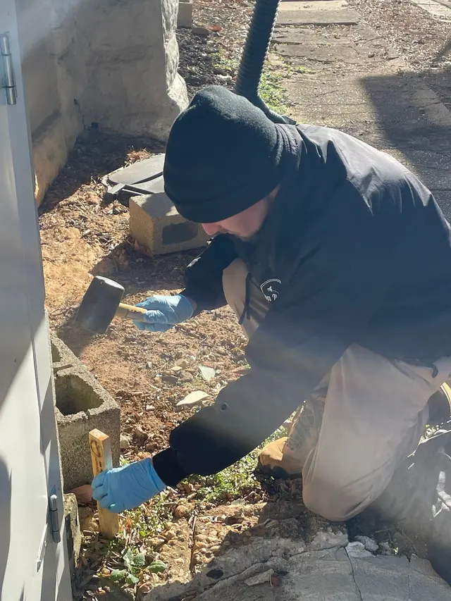 On The Fly Pest Solutions — photo from the business 4