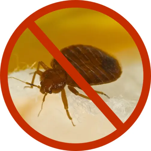 Raven Termite and Pest Control — photo from the business 11