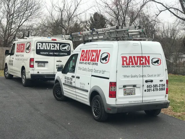 Raven Termite and Pest Control — customer photo 2