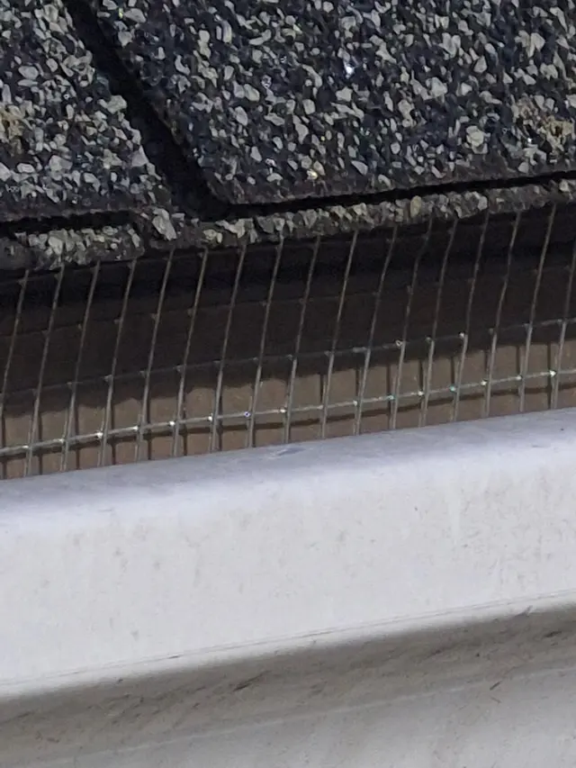 Raven Termite and Pest Control — customer photo 8