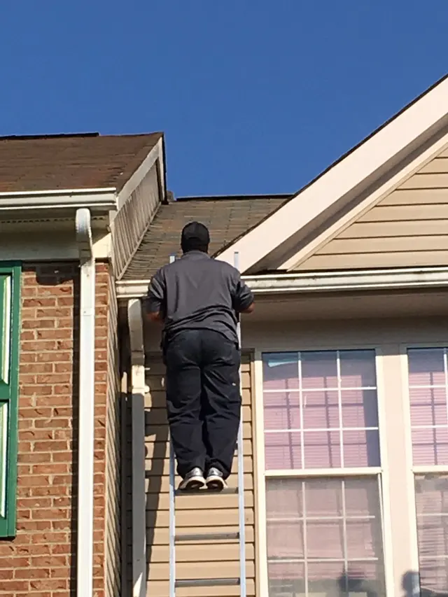 Raven Termite and Pest Control — photo from the business 4