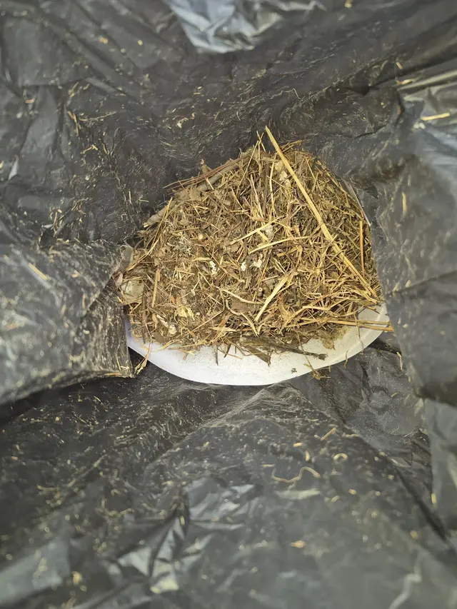 Raven Termite and Pest Control — customer photo 10
