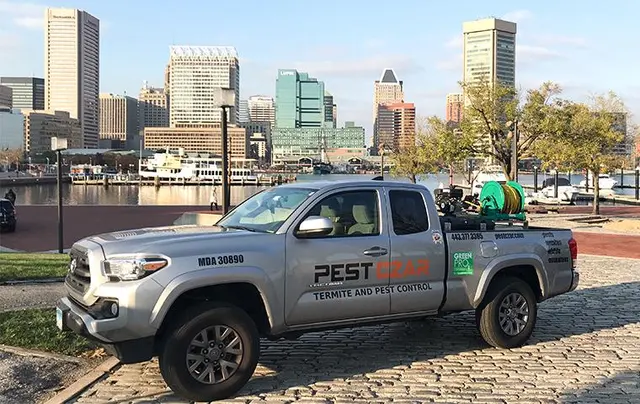 Pest Czar — photo from the business 3