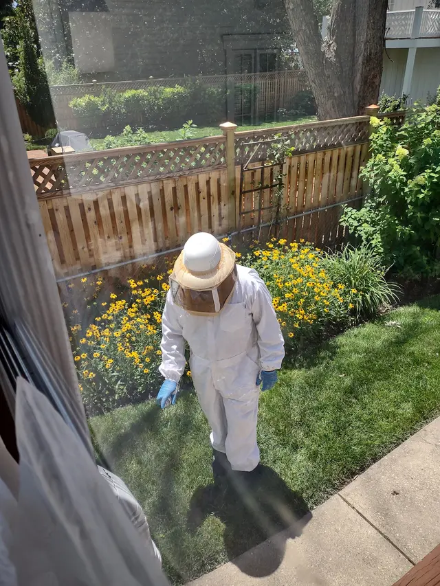 Ehrlich Pest Control — customer photo 9