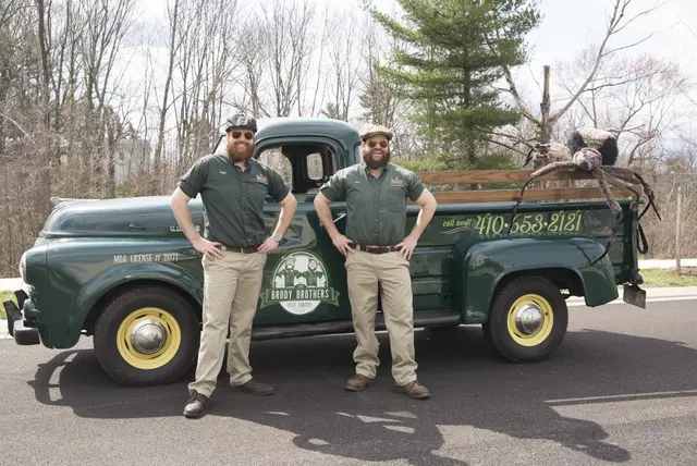 Brody Brothers Pest Control — photo from the business 6