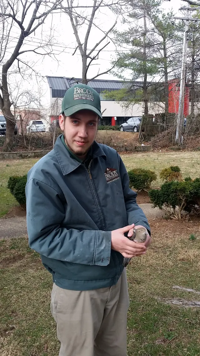 Brody Brothers Pest Control — photo from the business 8