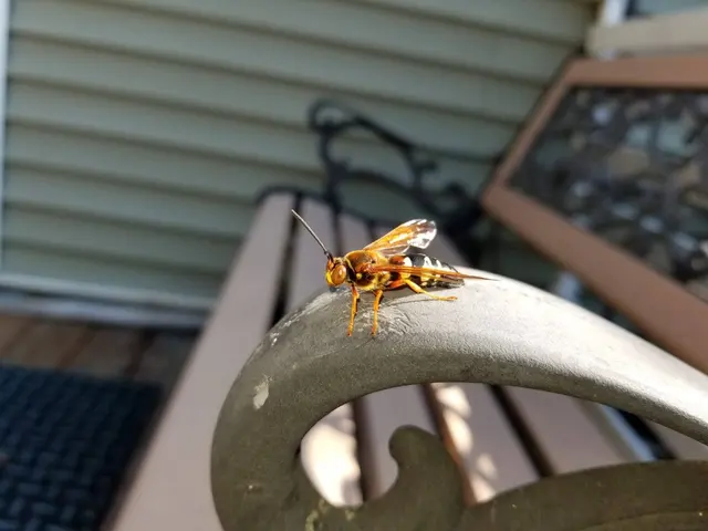 Brody Brothers Pest Control — photo from the business 7