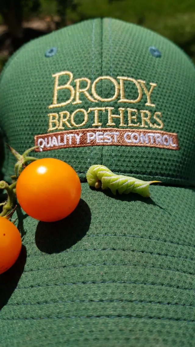 Brody Brothers Pest Control — photo from the business 2