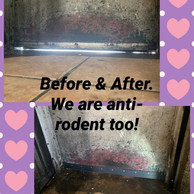 U.s Best Pest Control — photo from the business 2