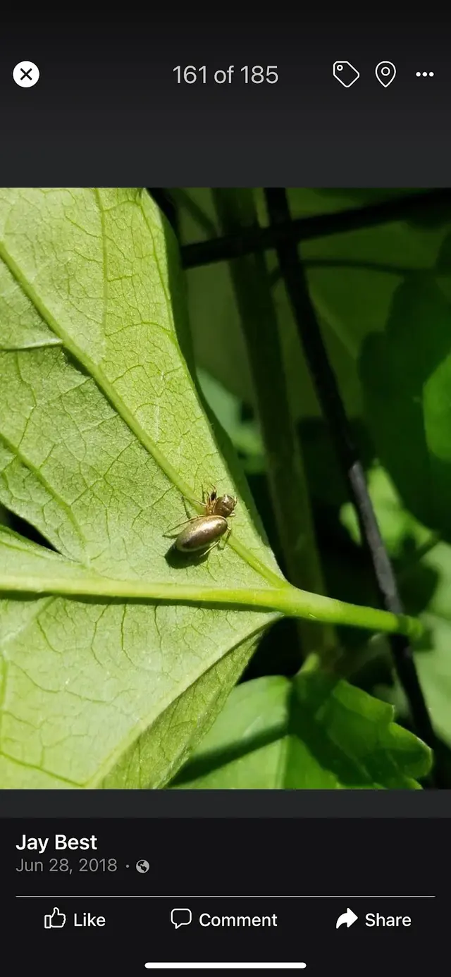 U.s Best Pest Control — photo from the business 9