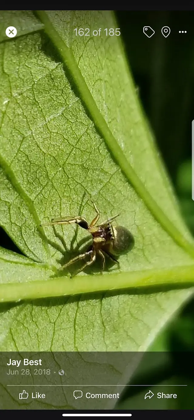 U.s Best Pest Control — photo from the business 7