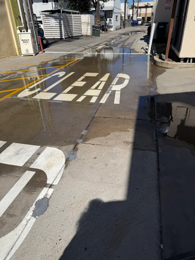 Solid Plumbing & Drains Inc — customer photo 12