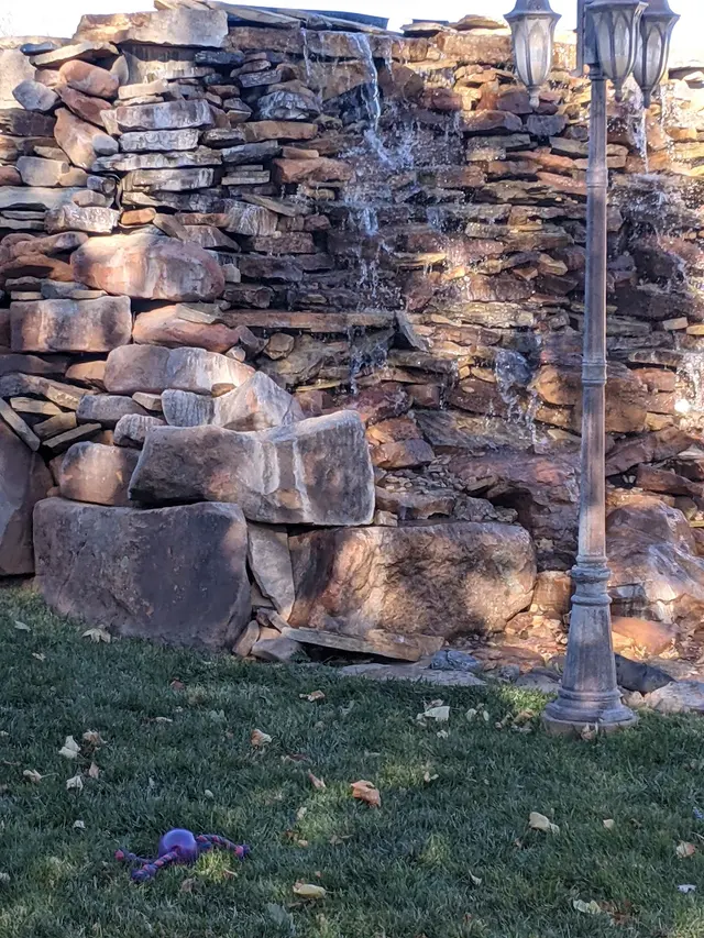 Garden of Dreams — customer photo 2