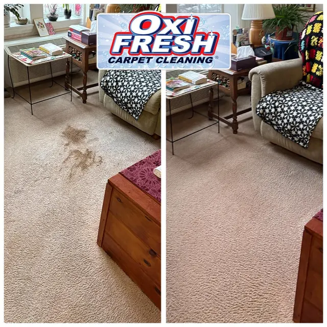Oxi Fresh Carpet Cleaning — photo from the business 3