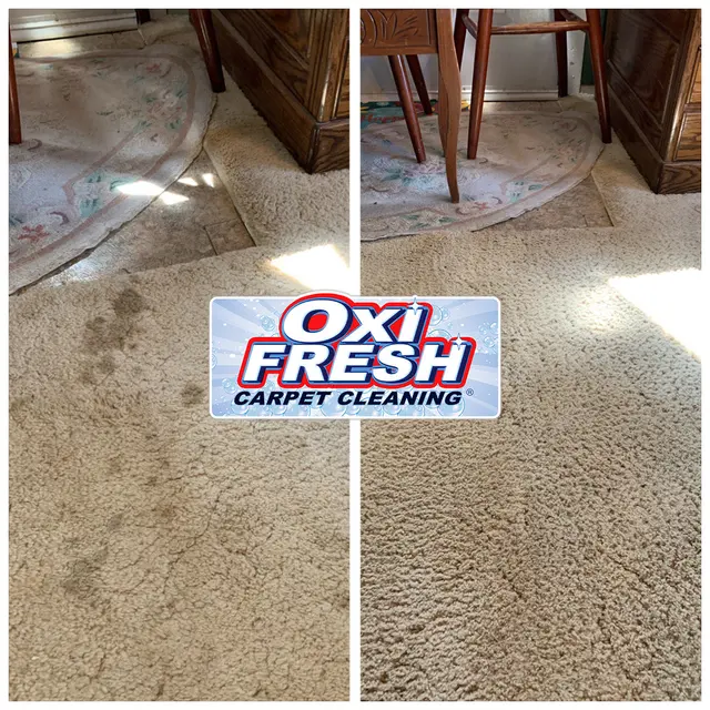 Oxi Fresh Carpet Cleaning — photo from the business 9
