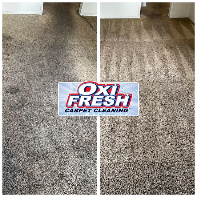 Oxi Fresh Carpet Cleaning — photo from the business 5