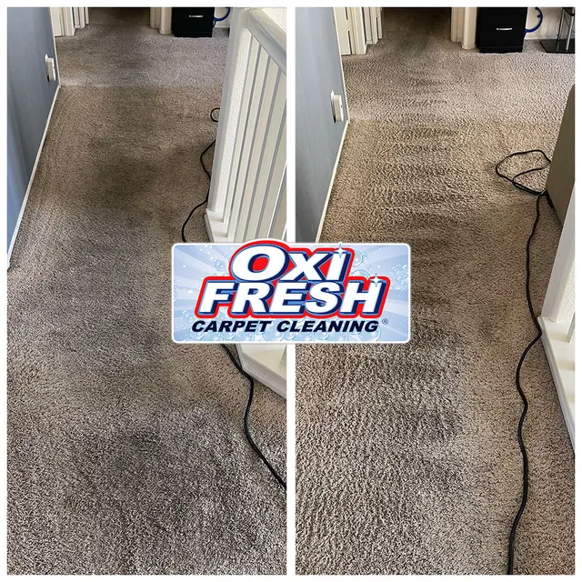 Oxi Fresh Carpet Cleaning — photo from the business 10