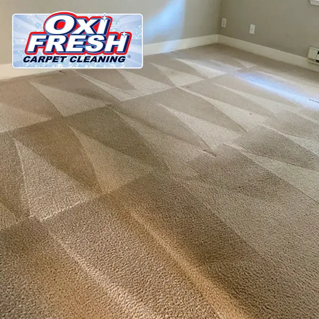 Oxi Fresh Carpet Cleaning — photo from the business 8