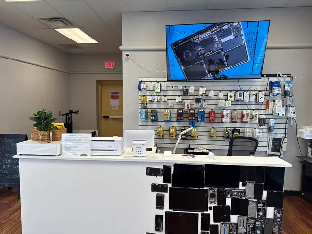 Techy Estero — customer photo 7