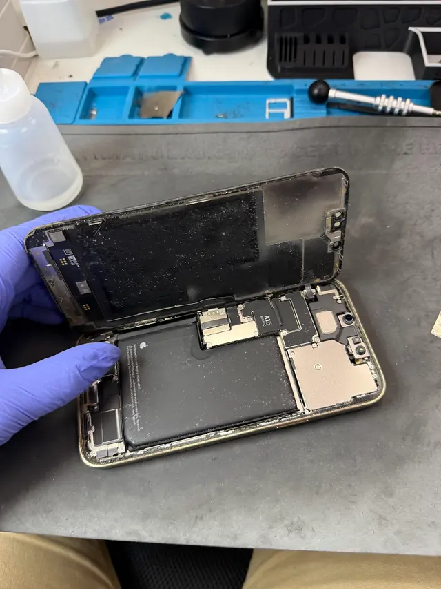 Techy Estero — customer photo 3