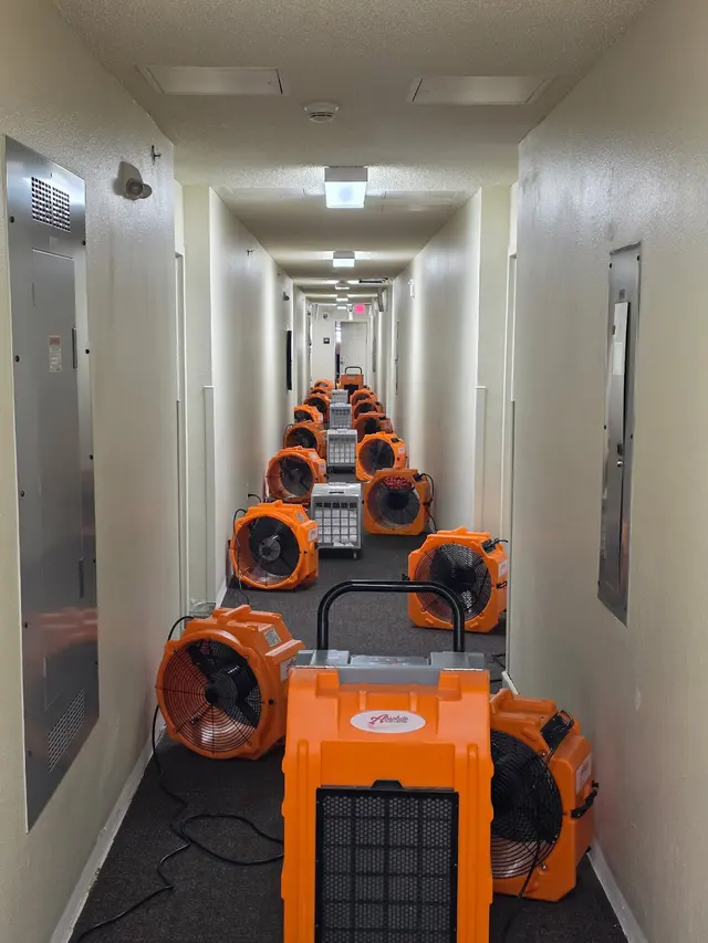 Absolute Clean & Restore Stillwater — photo from the business 2