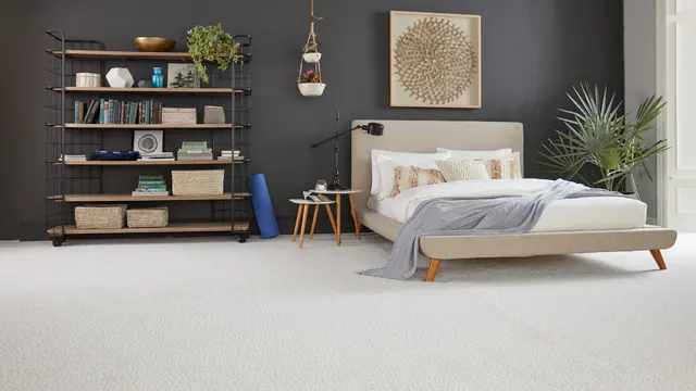 Brewer Carpet One Floor & Home — photo from the business 2