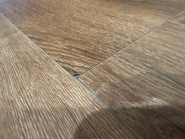 Brewer Carpet One Floor & Home — customer photo 4