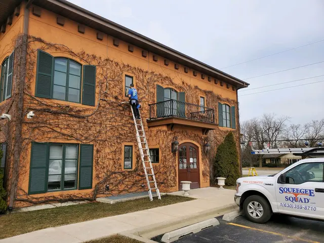 Squeegee Squad Chicagoland — photo from the business 10