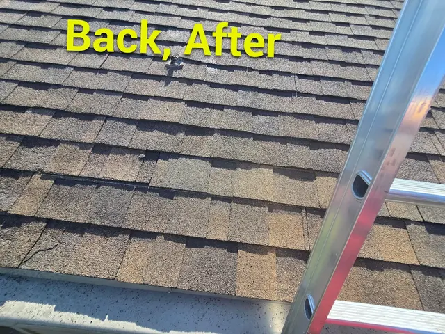 Customer photo from Ezra's review