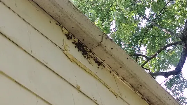 Buckingham Pest Control — photo from the business 8