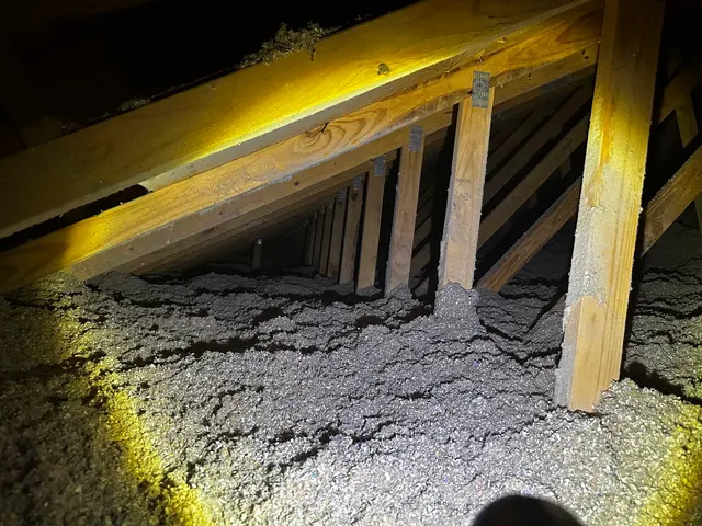 Buckingham Pest Control — customer photo 2
