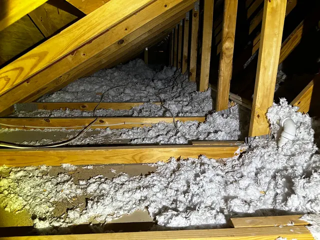 Buckingham Pest Control — customer photo 4