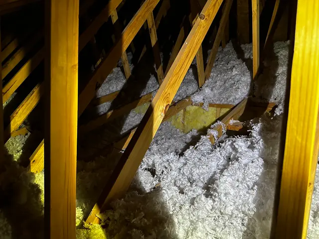 Buckingham Pest Control — customer photo 5