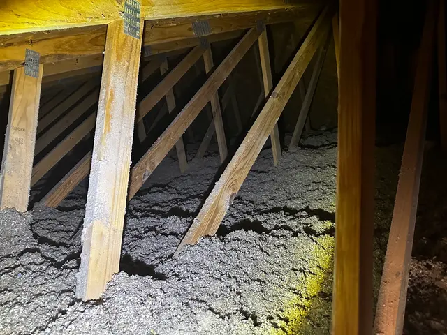 Buckingham Pest Control — customer photo 6