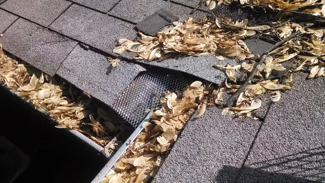 Buckingham Pest Control — photo from the business 3
