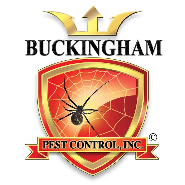 Buckingham Pest Control — photo from the business 9