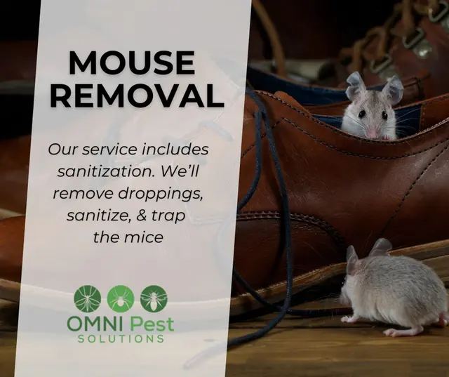 OMNI Pest Solutions — photo from the business 7