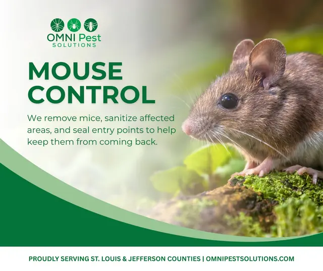 OMNI Pest Solutions — photo from the business 5