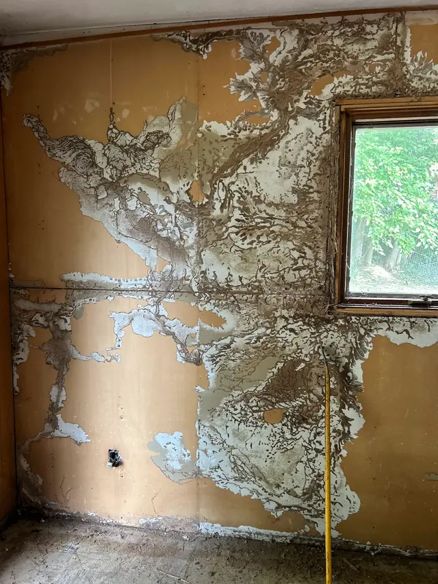 Customer photo from Scott's review
