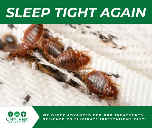 OMNI Pest Solutions — photo from the business 3