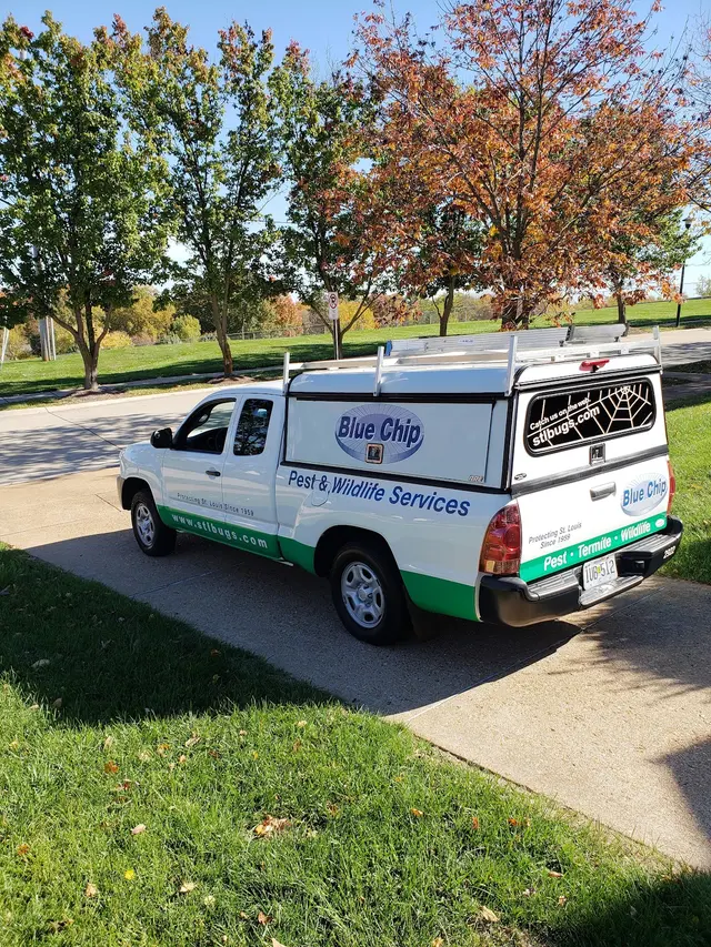 Bug Out — customer photo 10