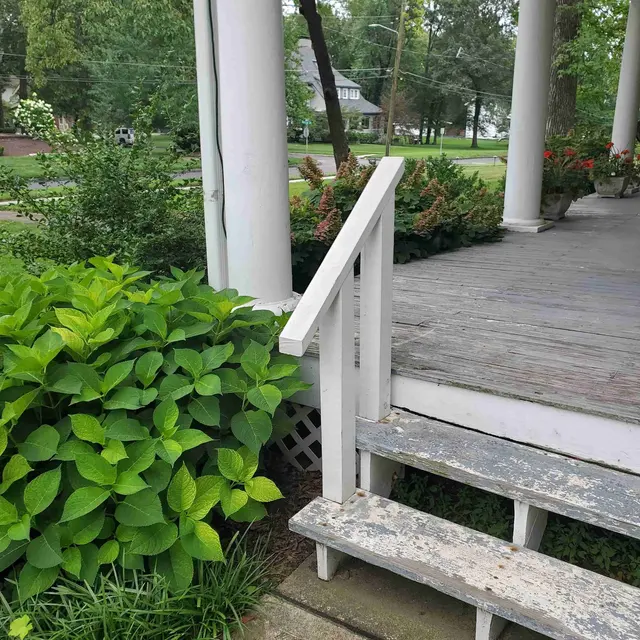 Cogent Pest Elimination — photo from the business 3