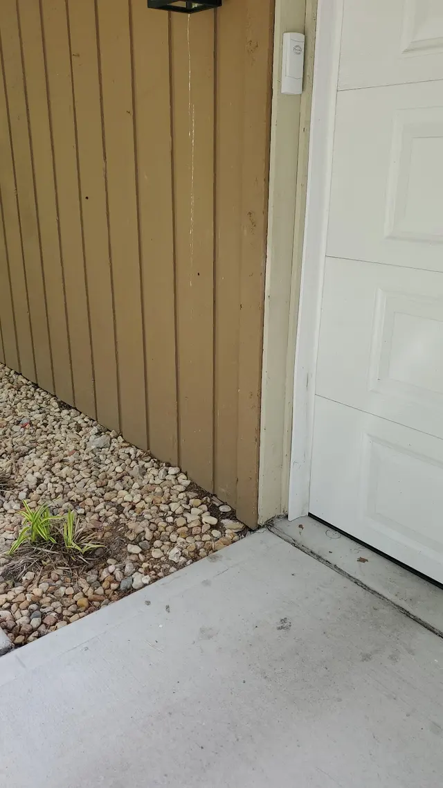 Cogent Pest Elimination — photo from the business 10